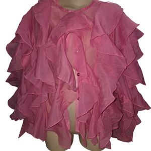 Pink Ruffled Sheer Blouse Long Sleeve No Size Or Brand Guess Would Be Small/med